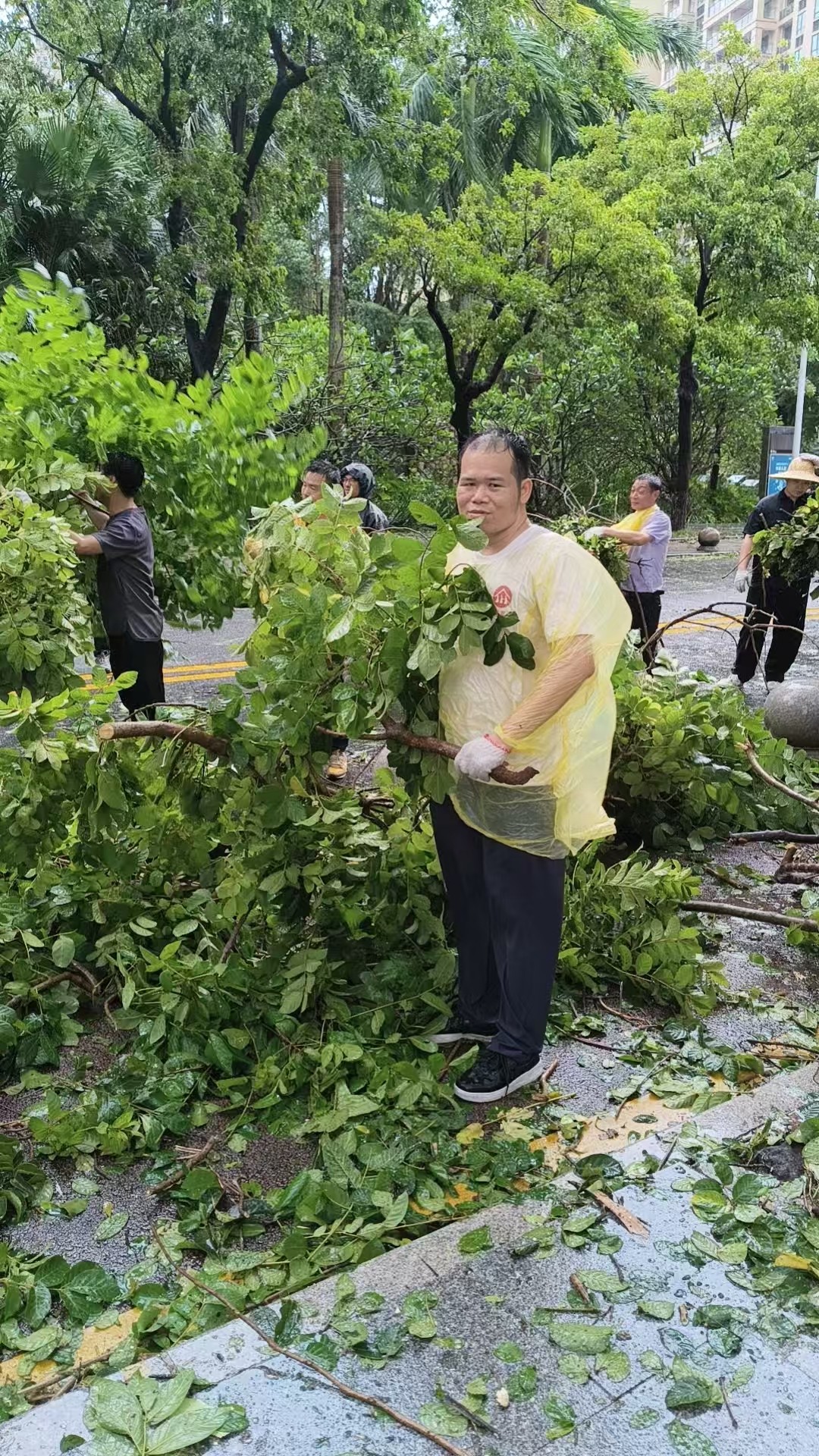 同輝家政 同輝家政
